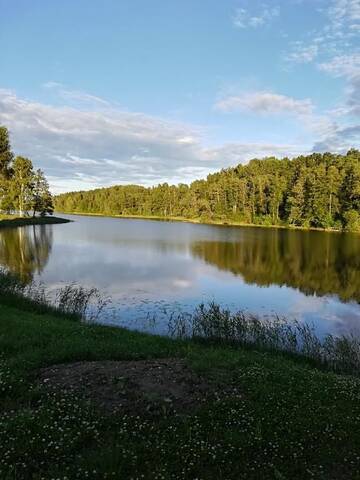 Фото номера Дом для отпуска Дома для отпуска Pie Ozola г. Repši 54